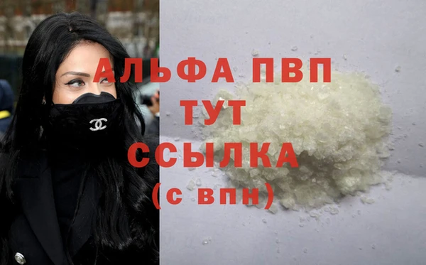 хмурый Белокуриха