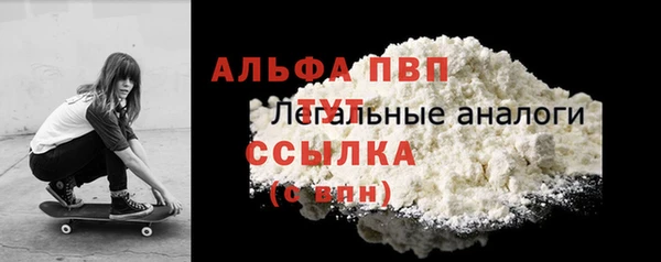 хмурый Белокуриха