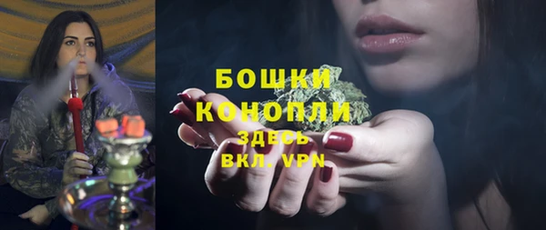 хмурый Белокуриха