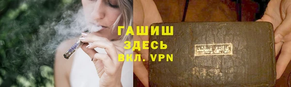 хмурый Белокуриха