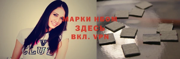 хмурый Белокуриха