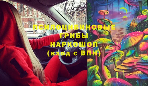 хмурый Белокуриха