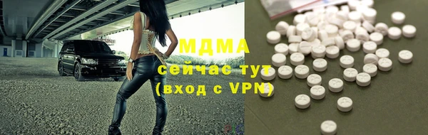 хмурый Белокуриха