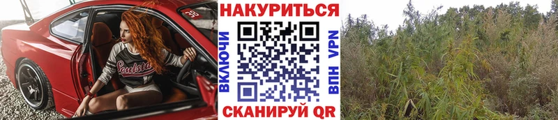 Бошки марихуана тримм  как найти наркотики  Донской 